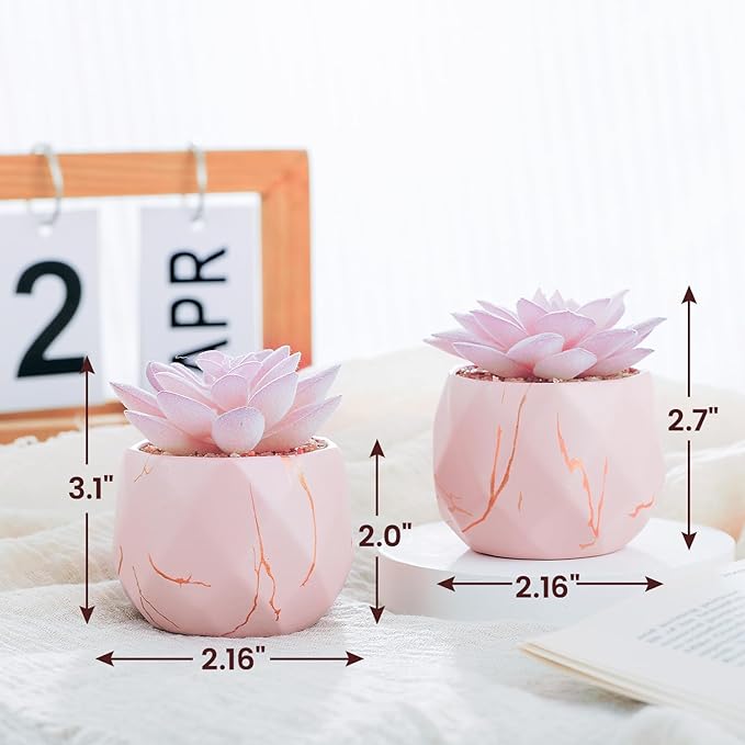 Artificial Succulent Plants in 2 Pink Ceramic Pots, Cute Fake Plants for Vanity Decor,Office, Desk, Bathroom, Kitchen,Bedroom, Shelves Decor for Women