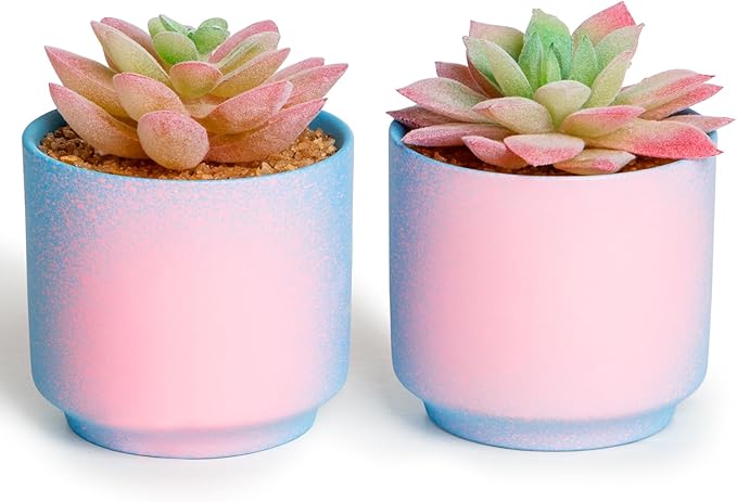 Artificial Succulent Plants in 2 Pink Ceramic Pots, Cute Fake Plants for Vanity Decor,Office, Desk, Bathroom, Kitchen,Bedroom, Shelves Decor for Women