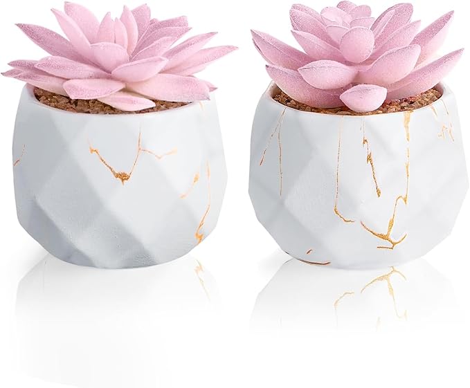 Artificial Succulent Plants in 2 Pink Ceramic Pots, Cute Fake Plants for Vanity Decor,Office, Desk, Bathroom, Kitchen,Bedroom, Shelves Decor for Women