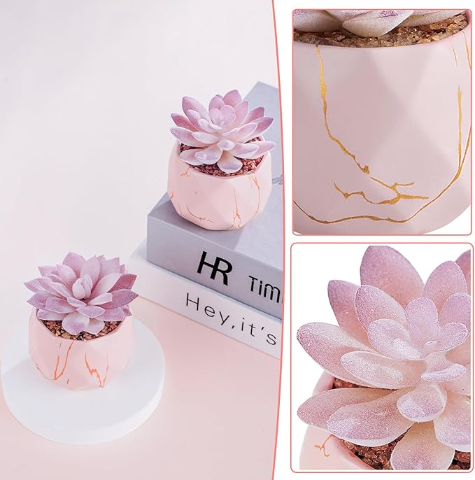 Artificial Succulent Plants in 2 Pink Ceramic Pots, Cute Fake Plants for Vanity Decor,Office, Desk, Bathroom, Kitchen,Bedroom, Shelves Decor for Women