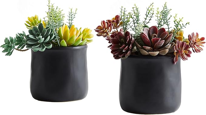 Artificial Succulent Plants in Ceramic Pots, Faux Assorted Succulents Fake Cactus Plants for Home Decor, Bedroom, Office, Desk, Living Room, Set of 3