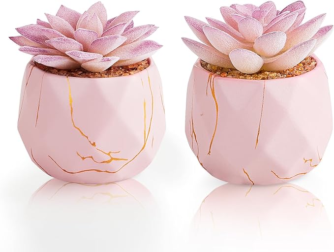 Artificial Succulent Plants in 2 Pink Ceramic Pots, Cute Fake Plants for Vanity Decor,Office, Desk, Bathroom, Kitchen,Bedroom, Shelves Decor for Women
