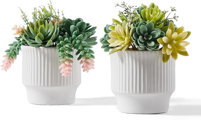 Artificial Succulent Plants in Ceramic Pots, Faux Assorted Succulents Fake Cactus Plants for Home Decor, Bedroom, Office, Desk, Living Room, Set of 3