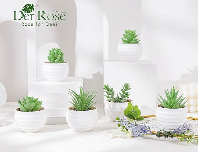 6 Pack Fake Plants Small Realistic Succulents Plants Artificial for Home Room Decor Indoor
