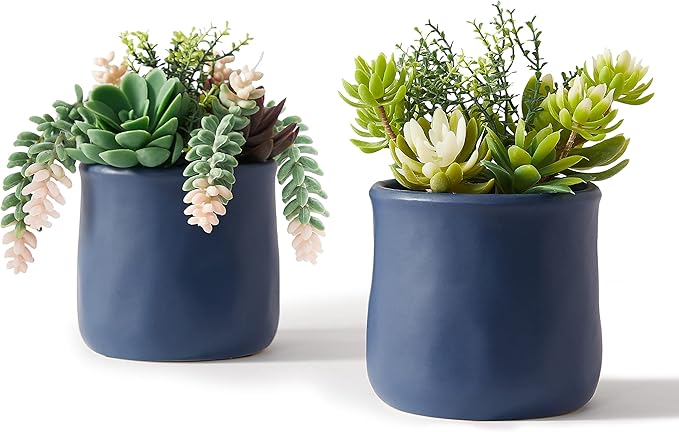 Artificial Succulent Plants in Ceramic Pots, Faux Assorted Succulents Fake Cactus Plants for Home Decor, Bedroom, Office, Desk, Living Room, Set of 3
