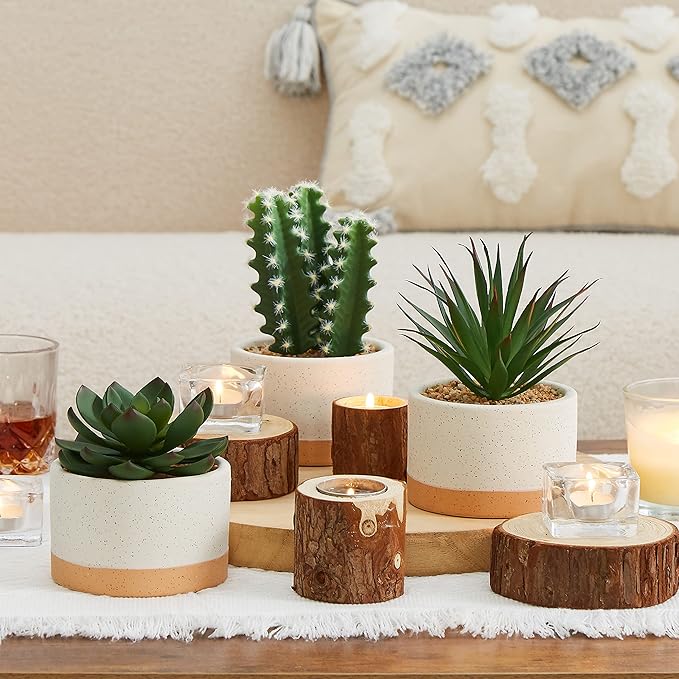 Artificial Succulent Plants in Ceramic Pots, Faux Assorted Succulents Fake Cactus Plants for Home Decor, Bedroom, Office, Desk, Living Room, Set of 3