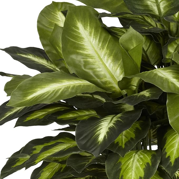24in. Golden Dieffenbachia Silk Plant, Green