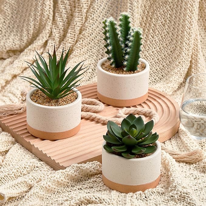Artificial Succulent Plants in Ceramic Pots, Faux Assorted Succulents Fake Cactus Plants for Home Decor, Bedroom, Office, Desk, Living Room, Set of 3