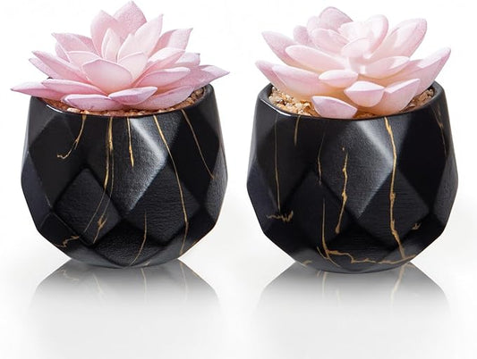 Artificial Succulent Plants in 2 Pink Ceramic Pots, Cute Fake Plants for Vanity Decor,Office, Desk, Bathroom, Kitchen,Bedroom, Shelves Decor for Women