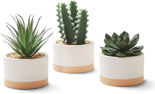 Artificial Succulent Plants in Ceramic Pots, Faux Assorted Succulents Fake Cactus Plants for Home Decor, Bedroom, Office, Desk, Living Room, Set of 3