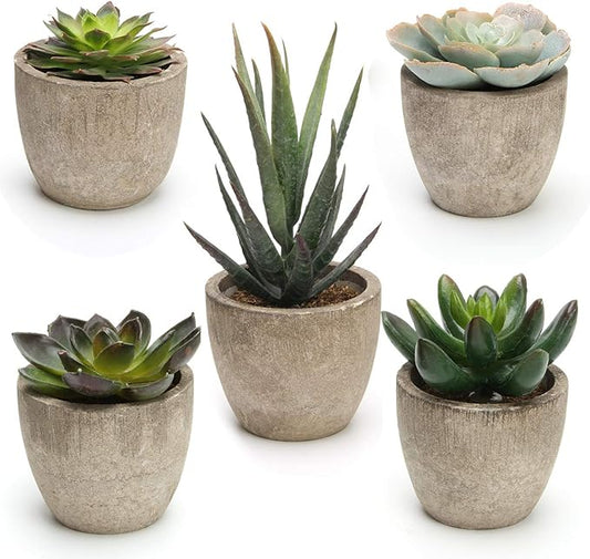 Artificial Succulent Plants Potted, Assorted Decorative Faux Succulent Potted Fake Cactus Cacti Plants with Pots, Set of 5