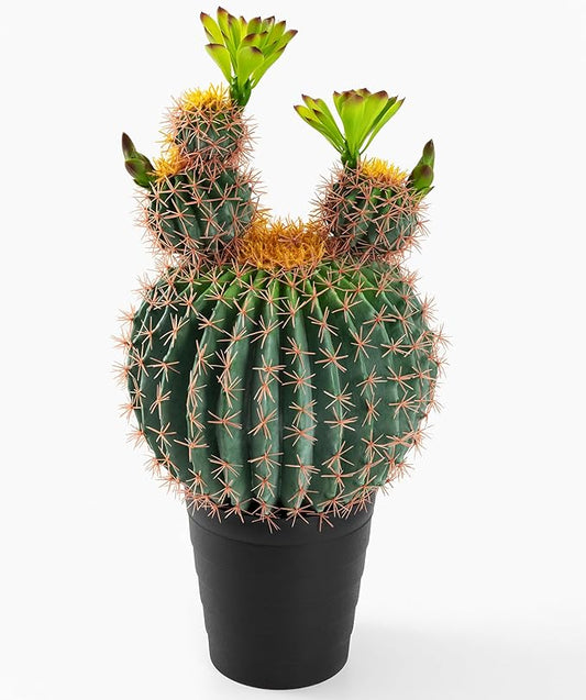 30 Inches Tall Realistic Large Faux Cactus Plant in Matte Black Pot. Gorgeous Artificial Plants for Home and Office Decoration.